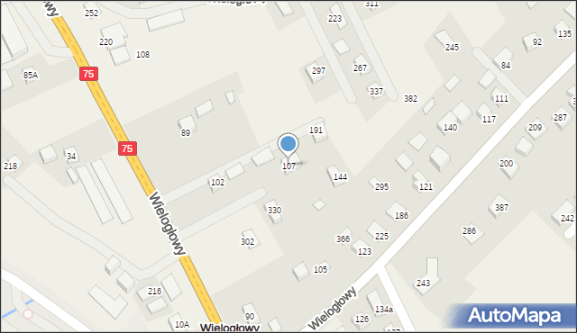 Wielogłowy, Wielogłowy, 107, mapa Wielogłowy