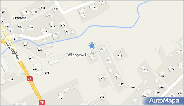 Wielogłowy, Wielogłowy, 307, mapa Wielogłowy