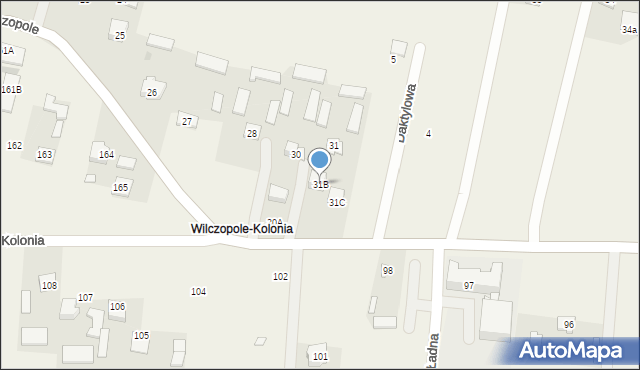 Wilczopole-Kolonia, Wilczopole-Kolonia, 31B, mapa Wilczopole-Kolonia