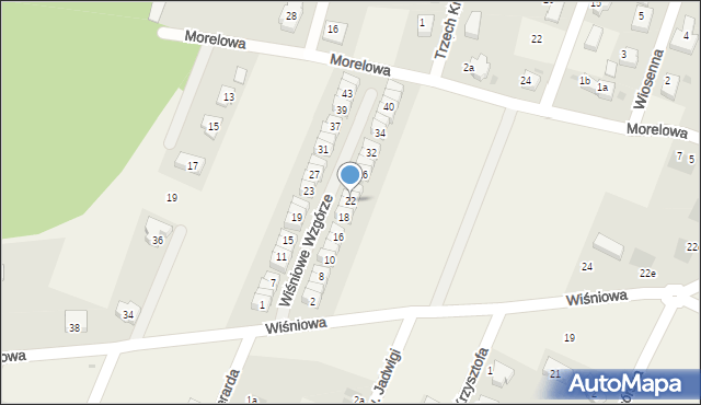 Wilkszyn, Wiśniowe Wzgórze, 22, mapa Wilkszyn