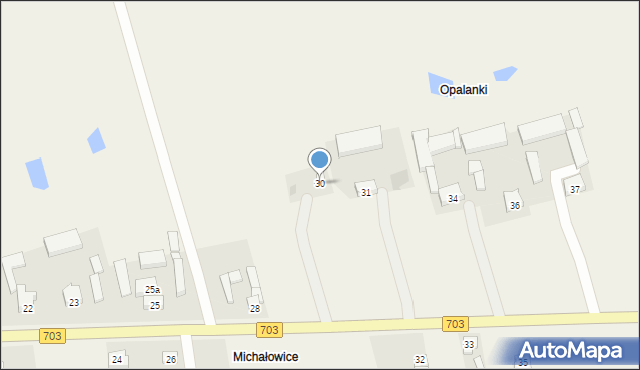 Witaszewice, Witaszewice, 30, mapa Witaszewice