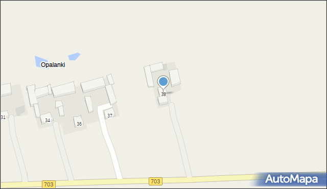 Witaszewice, Witaszewice, 38, mapa Witaszewice