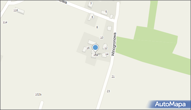 Witkowice, Winogronowa, 16a, mapa Witkowice