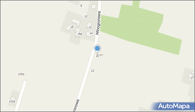 Witkowice, Winogronowa, 21, mapa Witkowice