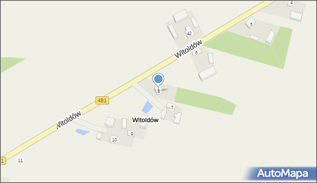Witoldów, Witoldów, 8, mapa Witoldów