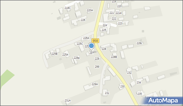 Witów, Witów, 227, mapa Witów