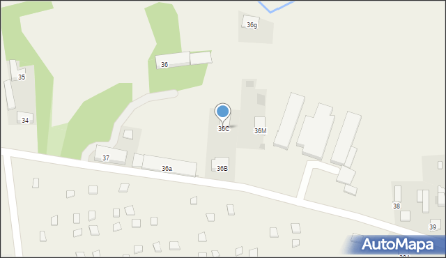 Witów-Kolonia, Witów-Kolonia, 36C, mapa Witów-Kolonia