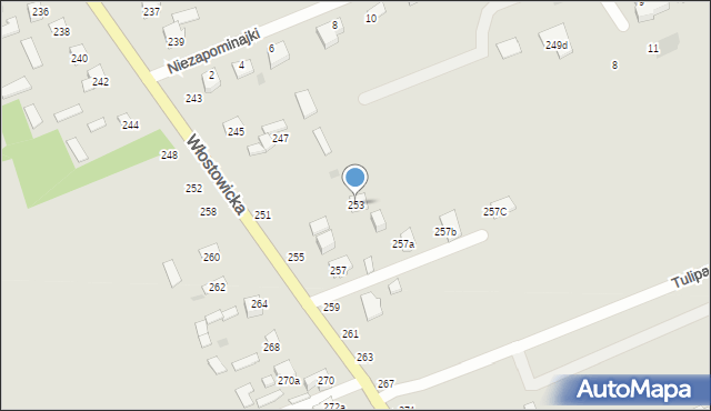 Puławy, Włostowicka, 253, mapa Puław