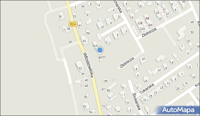 Puławy, Włostowicka, 63, mapa Puław