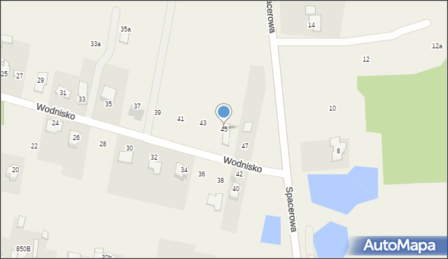 Borzęcin Duży, Wodnisko, 45, mapa Borzęcin Duży