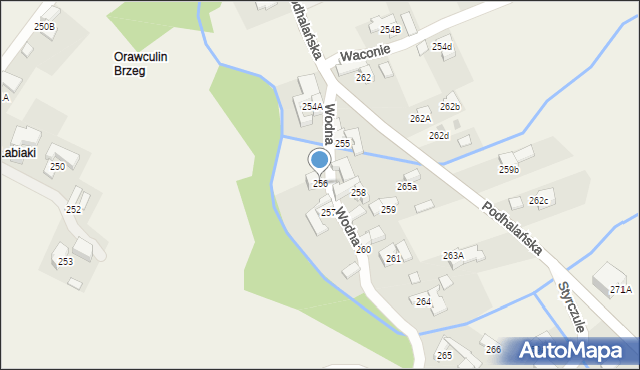 Dzianisz, Wodna, 4, mapa Dzianisz