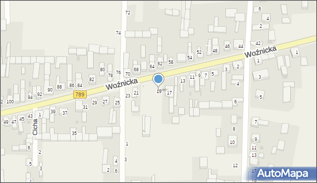 Gniazdów, Woźnicka, 19, mapa Gniazdów