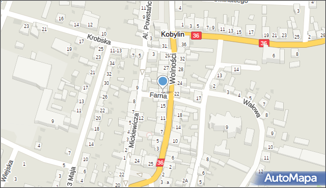 Kobylin, Wolności, 19, mapa Kobylin
