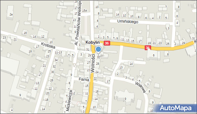 Kobylin, Wolności, 32, mapa Kobylin