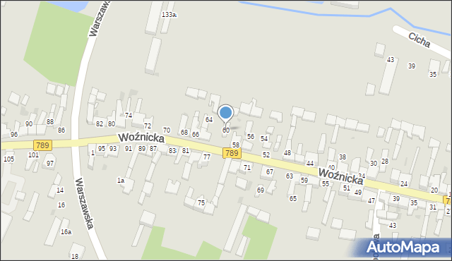 Koziegłowy, Woźnicka, 60, mapa Koziegłowy