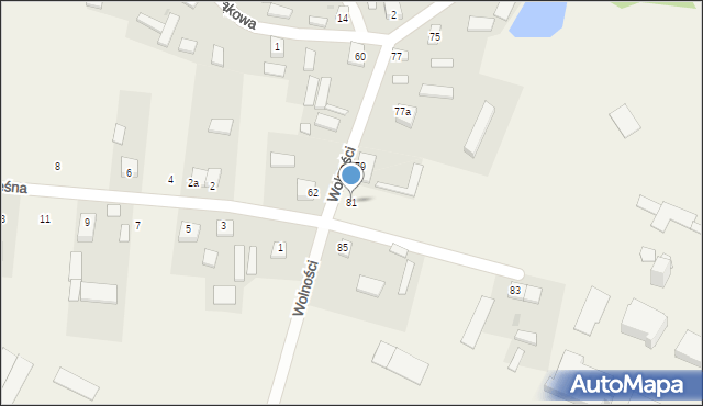 Pacierzów, Wolności, 81, mapa Pacierzów