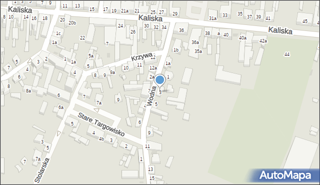 Pleszew, Wodna, 3, mapa Pleszew