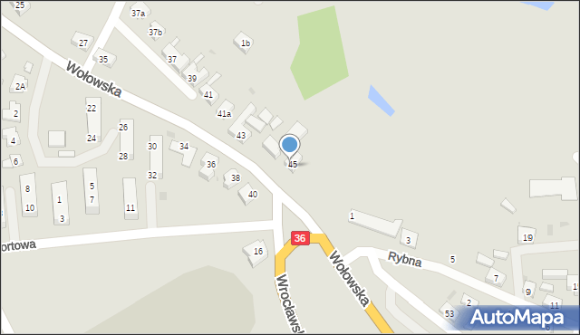 Ścinawa, Wołowska, 45a, mapa Ścinawa
