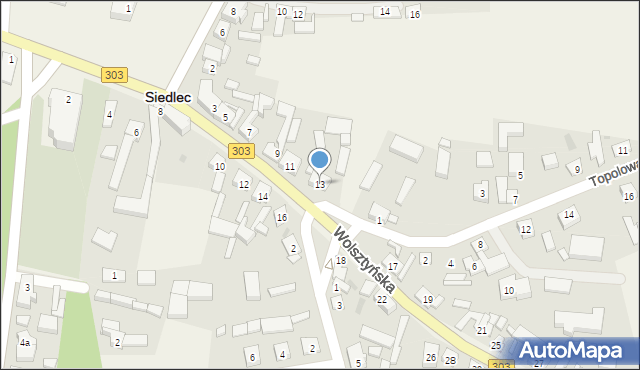 Siedlec, Wolsztyńska, 13, mapa Siedlec