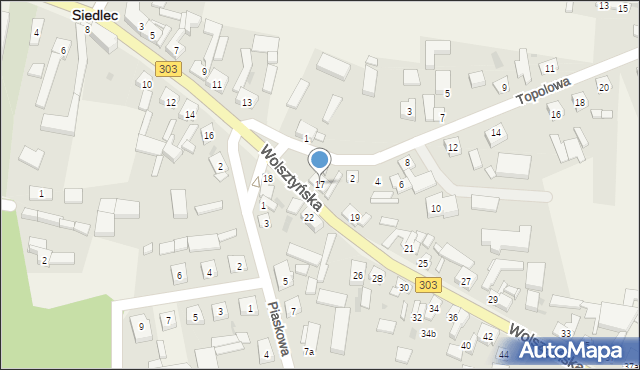 Siedlec, Wolsztyńska, 17, mapa Siedlec