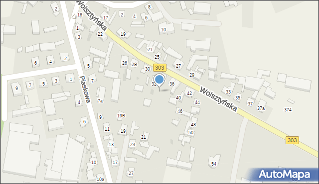 Siedlec, Wolsztyńska, 34b, mapa Siedlec