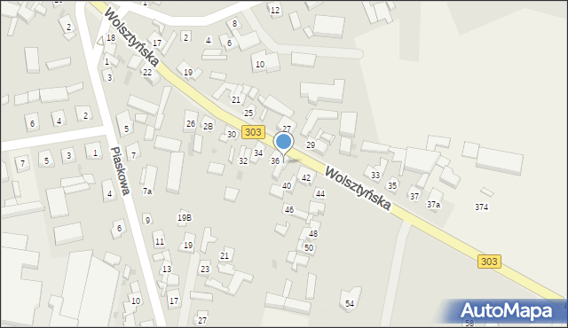 Siedlec, Wolsztyńska, 38, mapa Siedlec