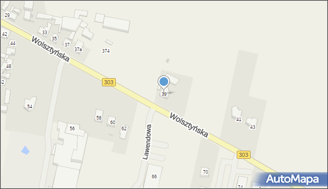 Siedlec, Wolsztyńska, 39, mapa Siedlec