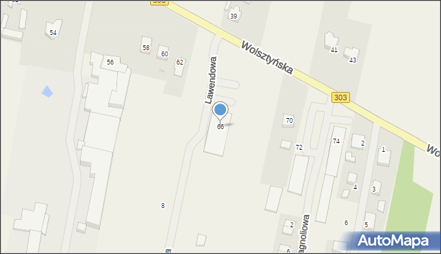 Siedlec, Wolsztyńska, 66, mapa Siedlec