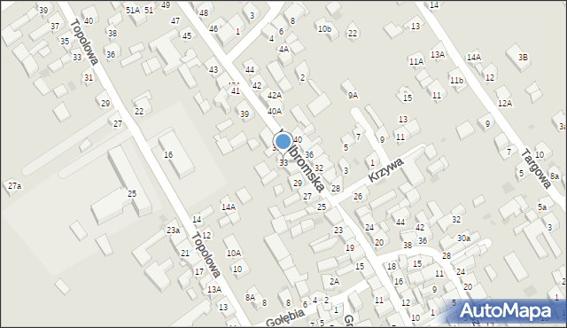 Skała, Wolbromska, 33, mapa Skała