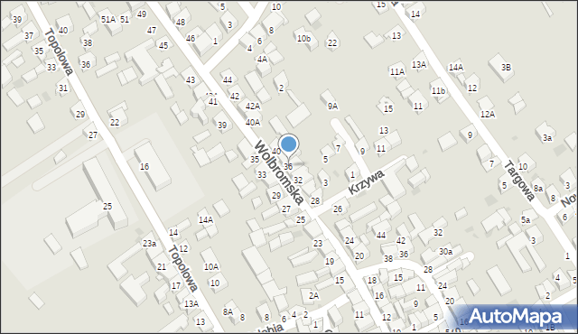 Skała, Wolbromska, 36, mapa Skała