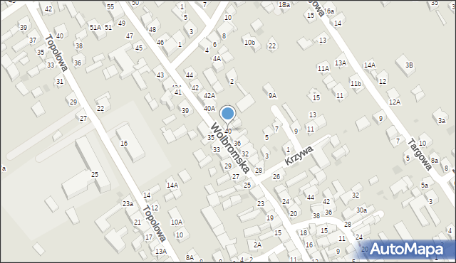 Skała, Wolbromska, 40, mapa Skała
