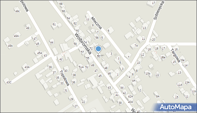 Skała, Wolbromska, 50, mapa Skała