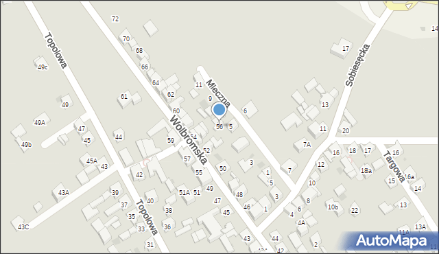 Skała, Wolbromska, 56, mapa Skała