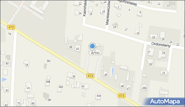 Wola Łaska, Wola Łaska, 41, mapa Wola Łaska