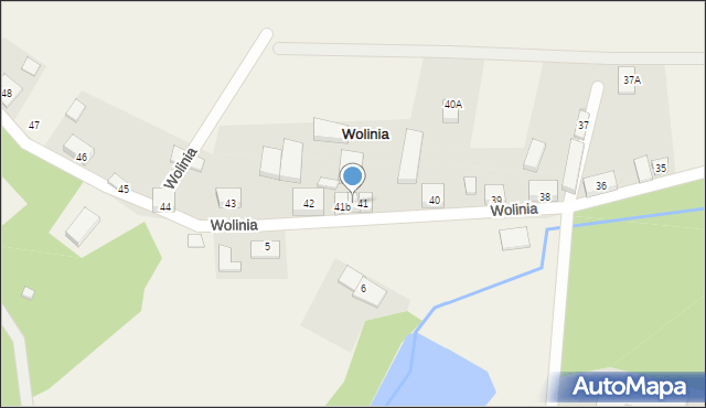 Wolinia, Wolinia, 41a, mapa Wolinia