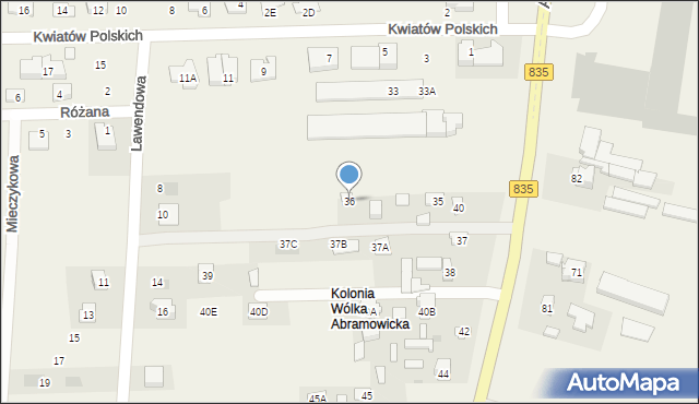 Wólka Abramowicka, Wólka Abramowicka, 36, mapa Wólka Abramowicka