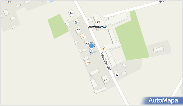 Woźniaków, Woźniaków, 51, mapa Woźniaków