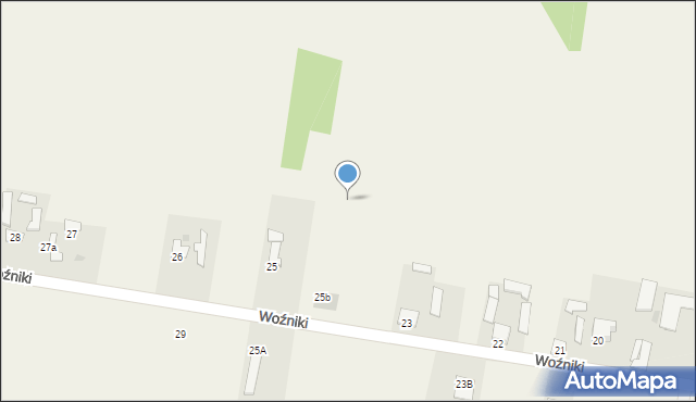 Woźniki, Woźniki, 25d, mapa Woźniki