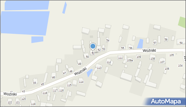 Woźniki, Woźniki, 51, mapa Woźniki