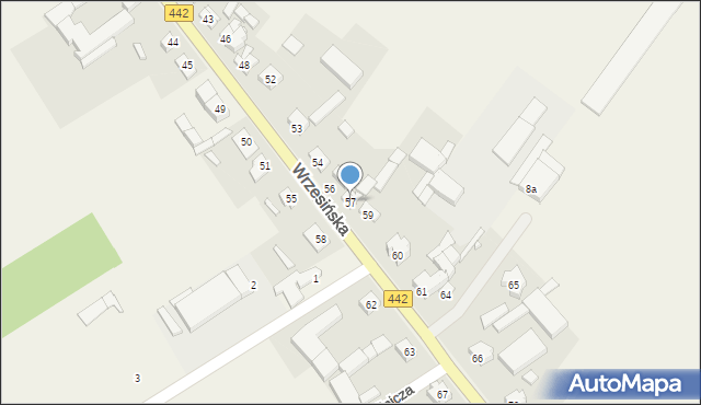 Borzykowo, Wrzesińska, 57, mapa Borzykowo