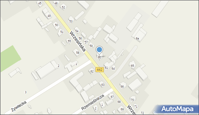 Borzykowo, Wrzesińska, 60, mapa Borzykowo