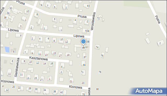 Jutrosin, Wrocławska, 65, mapa Jutrosin