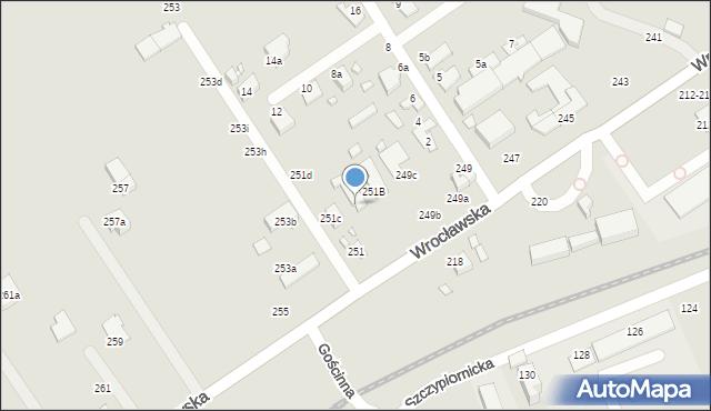 Kalisz, Wrocławska, 251a, mapa Kalisza