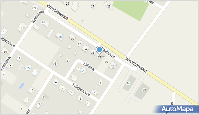 Wilków, Wrocławska, 38, mapa Wilków