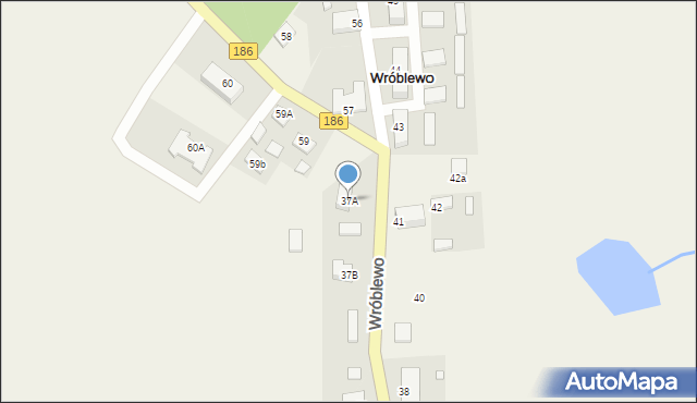 Wróblewo, Wróblewo, 37A, mapa Wróblewo