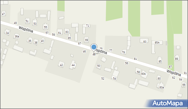 Grębiszew, Wspólna, 48, mapa Grębiszew