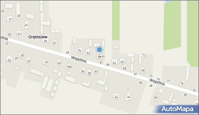 Grębiszew, Wspólna, 55, mapa Grębiszew