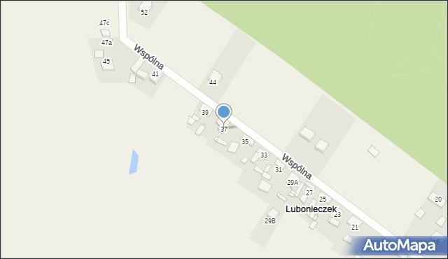 Lubonieczek, Wspólna, 37, mapa Lubonieczek