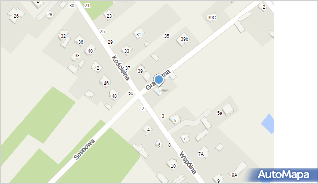 Maliszew, Wspólna, 1, mapa Maliszew