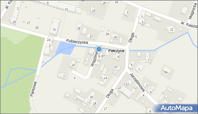 Pełczyce, Wspólna, 2, mapa Pełczyce